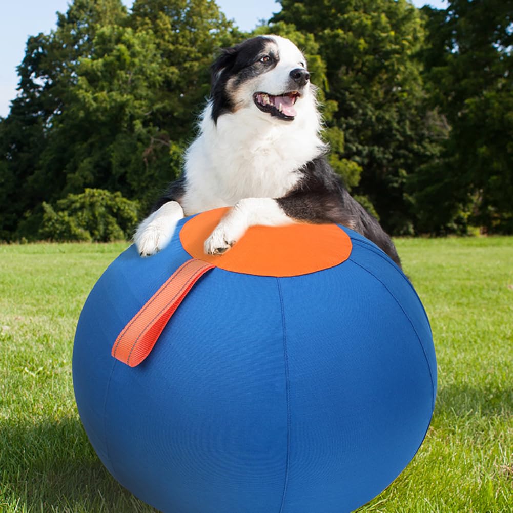 Pelota grande azul para perros con bomba